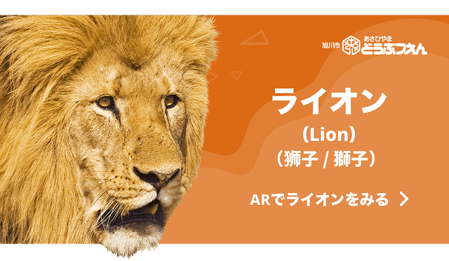 ライオン