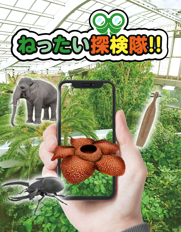 ねったいかんキービジュアル